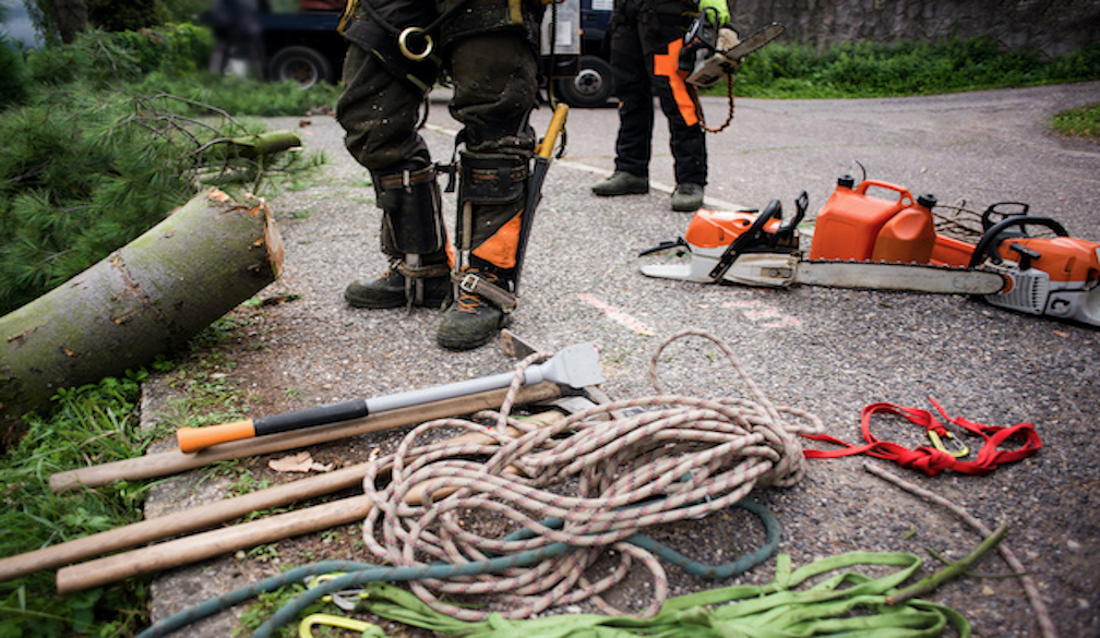 Professional deals tree loppers